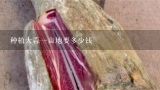 种植大蒜一亩地要多少钱,今年大蒜种多少钱一斤