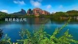 枇杷果怎么吃,姑娘果多少钱一斤