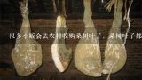 很多小贩会去农村收购桑树叶子，桑树叶子都有哪些用,有小贩来农村里3元一斤收购桑树叶子，是用来干什么