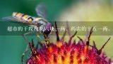 超市的干玫瑰花六块一两，药店的十五一两，看着差不,干的玫瑰花（泡水喝的）哪里能买到，多少钱？