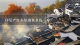 印尼产红东星斑鱼多钱一斤？梭鲈鱼价格一斤多少钱？