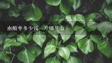 南酸枣多少钱一斤哪里收,拼多多酸枣仁10块钱一斤是真的吗？
