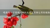 喂我问一下郑州市场扒皮鱼五零到七零的规格的鱼批发价多少钱一斤？扒皮鱼多少钱一斤