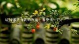 请问哪里有收购肉兔？多少钱一斤？养的一年家兔能卖多少钱一只?