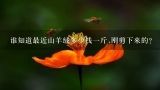 谁知道最近山羊绒多少钱一斤,刚剪下来的?现在山羊绒多少钱一斤