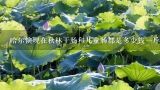 哈尔滨现在秋林干肠和儿童肠都是多少钱一斤,一斤肉能出多少干肠
