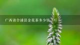 广西省合浦县金花茶多少钱一斤,请问哪里收购金花茶，干花多少钱一斤，怎样把生花做成干花最好？
