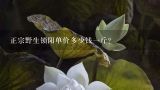 正宗野生锁阳单价多少钱一斤？野生锁阳一斤多少钱
