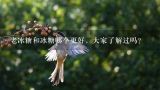 老冰糖和冰糖哪个更好，大家了解过吗？