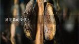 灵芝菇的吃法？灵芝菇和灵芝有什么关系？