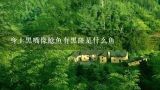 身上黑嘴像鲶鱼有黑斑是什么鱼