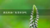 湖北榨油厂收菜籽饼吗