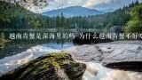 越南青蟹是深海里的吗 为什么越南青蟹不好吃