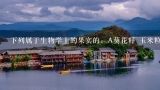 下列属于生物学上的果实的：A葵花籽 玉米粒 小麦粒 B南瓜子 绿豆 板栗 C芝麻 西瓜、松子 D花生 杏仁 白果