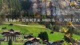 有种虫子,长在树里面,600块钱一斤,叫什么名字?柴虫一斤多少只