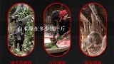 15 白术现在多少钱一斤,鲜白术价格多少钱一斤