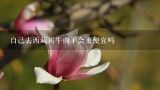 自己去西藏买牛肉干会更便宜吗,去西藏时会买牦牛肉干，怎么区分辨别西藏牦牛肉干的