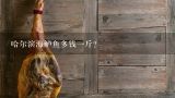 哈尔滨海鲈鱼多钱一斤？海鲈鱼多少钱一斤？