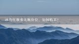 冰岛红极参大概价位、如何购买？冰岛海参，冰岛红极参。两者有什么区别？ 分别多钱一斤？