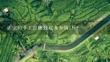 正宗的手工红糖到底多少钱1斤？真正的手工红糖要120多元一斤吗？怎样识别真正的红