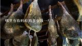 哪里有收蚂蝗的多少钱一斤？蚂蟥如今晒干800元1斤，农民为什么不原意养呢？