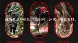 海南某地种植的“黑金刚”莲雾，甜脆爽口、味美多汁，深受消费者欢迎，近年来市场行情看好，莲雾供不应求，价格持续上涨...,海南火龙果，莲雾，释迦果，菠萝蜜，木瓜，火龙果，芒果，榴莲这几样水果多少钱一斤