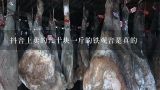 抖音上卖的几十块一斤的铁观音是真的