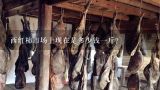 西红柿市场上现在是多少钱一斤?西安市西红柿多钱一斤?