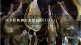 淡水鲳鱼和海水鲳鱼的区别？鲳鱼多少钱一斤？