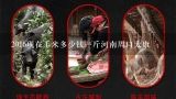 2016现在玉米多少钱一斤河南周口太康,2016年苞米多少钱一斤
