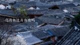乌青鱼比青鱼贵吗,农民野外钓到80斤青鱼，卖5千块合算吗?