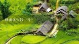 蜂蜜多少钱一斤？纯蜂蜜多少钱一斤？