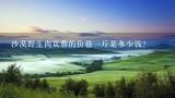 沙漠野生肉苁蓉的价格一斤是多少钱？沙漠野生肉苁蓉的价格一斤是多少钱？