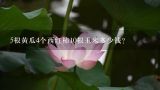 5根黄瓜4个西红柿10根玉米多少钱？芋头和黄瓜哪个便宜？