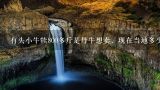 有头小牛犊800多斤是母牛想卖，现在当地多少钱一斤？谢谢,羊街牛市小牛犊多少钱一斤啊？