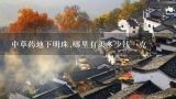 中草药地下明珠,哪里有买多少钱一克,西单明珠地下商城在哪里，我的位置是图书大厦