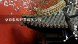 草莓收购野草莓多少钱,入药的野草莓多少一斤