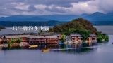 一只牛脚约多少钱,长沙红星的牛脚多少钱一斤？