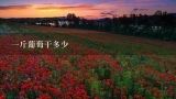 一斤葡萄干多少,葡萄干一斤多少钱