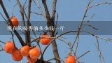 现在的松香油多少钱一斤,松香油一斤多少钱