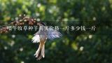 喂牛牧草种子真实价格一斤多少钱一斤,甜象草和黄竹草种子多少钱一斤