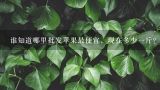 谁知道哪里批发苹果最便宜，现在多少一斤？甘肃盐官镇苹果批发多少钱一斤？