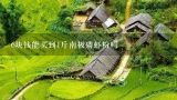 6块钱能买到1斤南极磷虾粉吗,丹东东巷紫虾现在多少钱一斤？