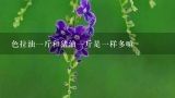 色拉油一斤和猪油一斤是一样多嘛,6.6元每升的,按斤算多少钱一斤？