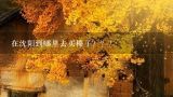 在沈阳到哪里去买榛子？？？现在超市里有榛子买吗？