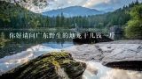 你好请问广东野生的地龙干几钱一斤,黑底土龙一斤多少钱？