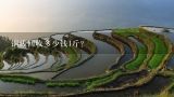 铜线回收多少钱1斤？废铜线回收多少钱一斤？