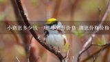 小猪崽多少钱一斤 小猪仔价格 猪崽价格价格,贵州兴义小猪崽多少钱一斤