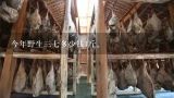 今年野生三七多少钱1斤。,野生三七多少钱一斤