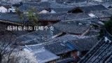 杨树菇和松茸哪个贵,松茸价格一般是多少一斤？